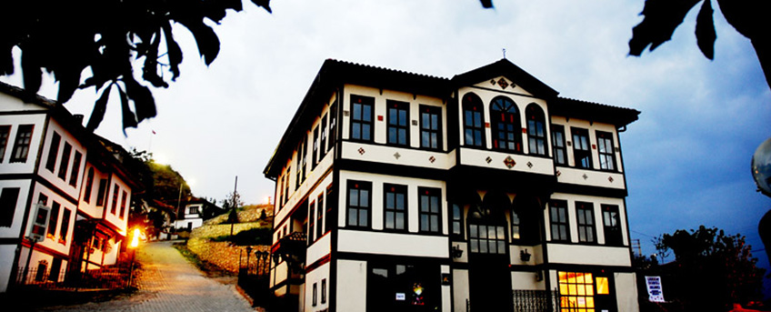 Sayın Gıda